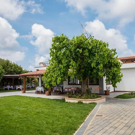 ホテル Cilentiamoci 3*